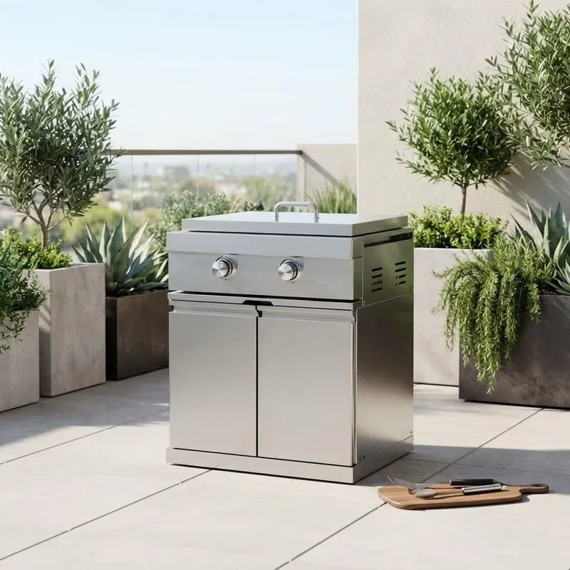Roestvrijstalen gasbarbecue gr - Outdoor Camping Griddle recensie en prijs