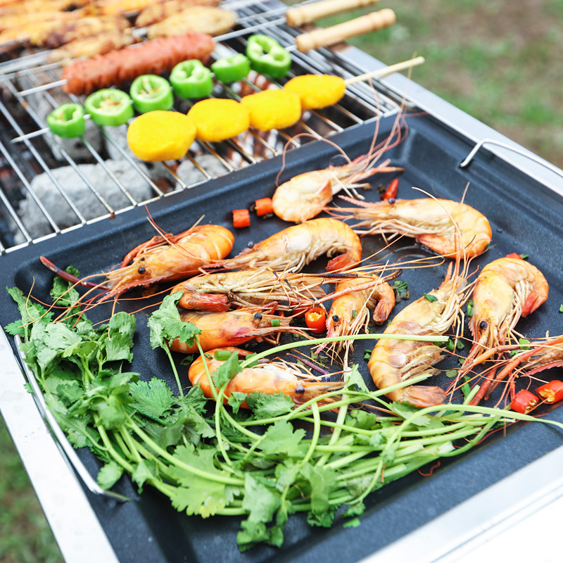 NIEUWE Hoge Kwaliteit Roestvri - Outdoor Camping Griddle recensie en prijs