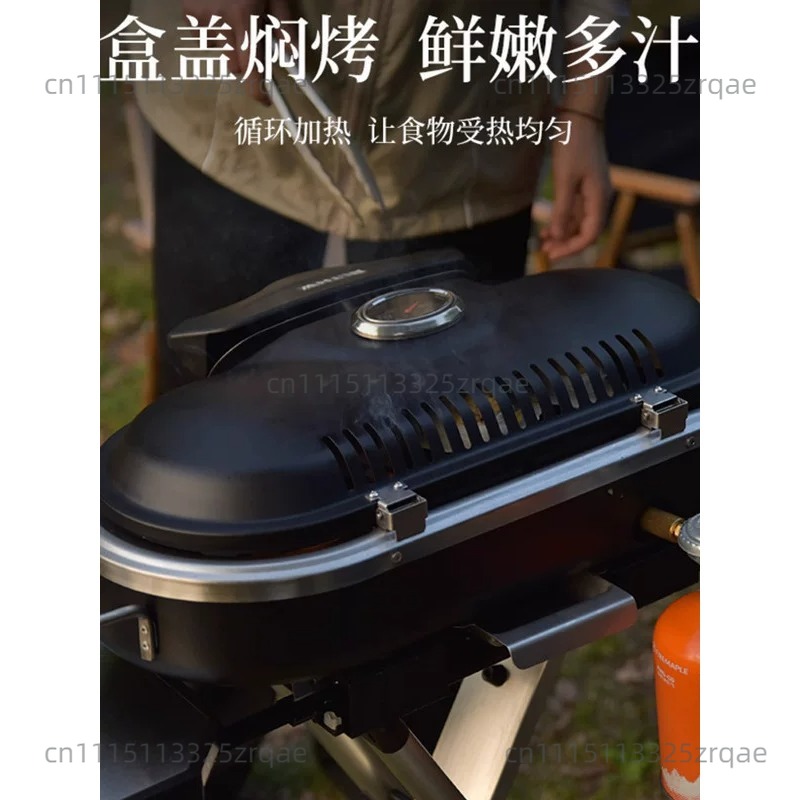 Draagbare gasfornuis voor binn - Outdoor Camping Griddle recensie en prijs