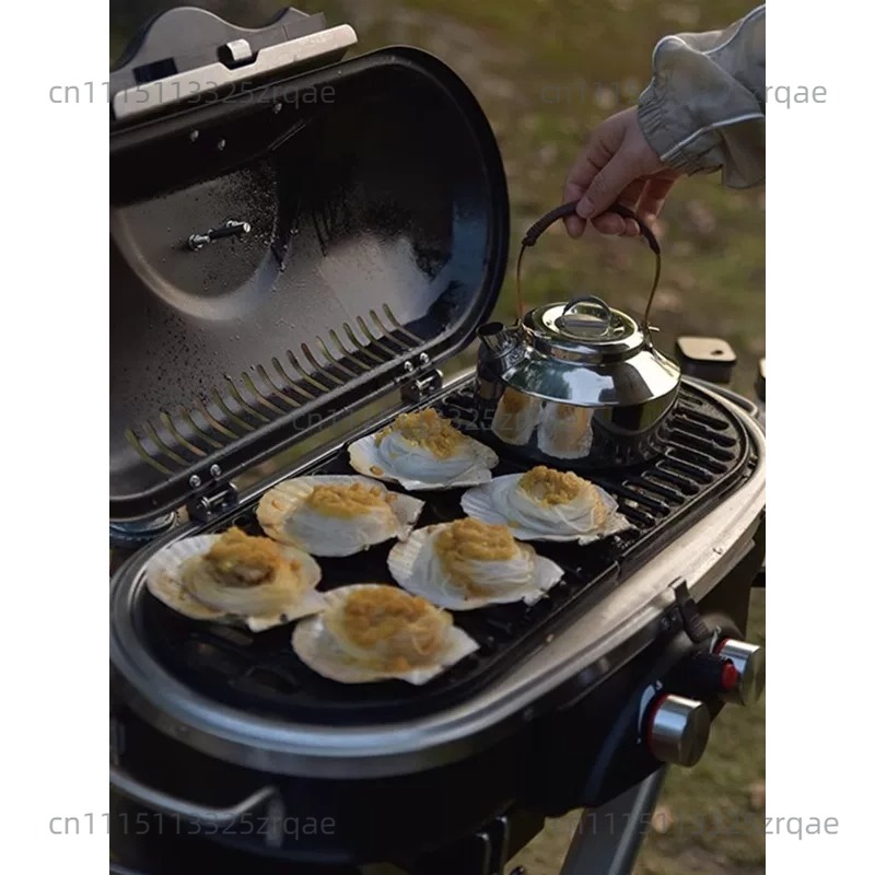 Draagbare gasfornuis voor binn - Outdoor Camping Griddle recensie en prijs
